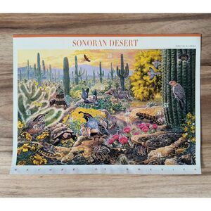 Vintage 1999 USPS Sonoran Desert 33¢ Stamp Sheet – Mint NH – Nature of America